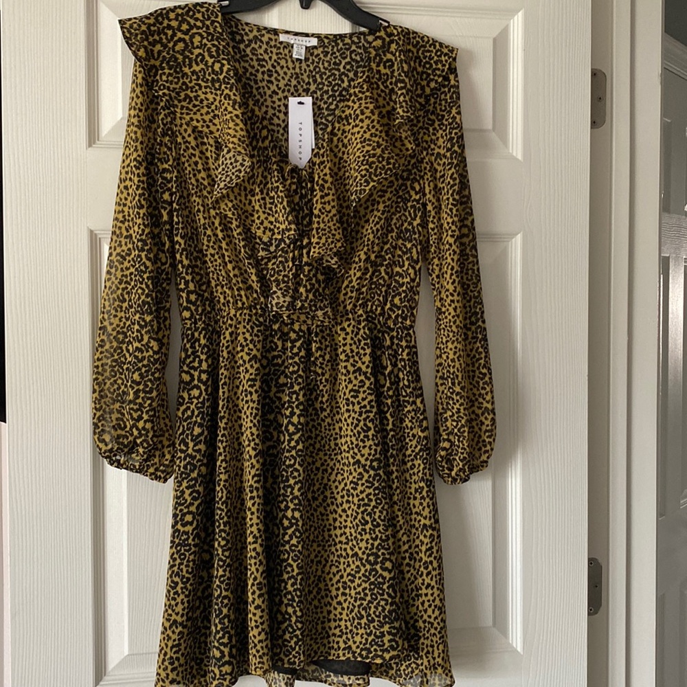 Topshop Leopard Dress
